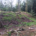 Remains of the Motte and Bailey Castle built for Fossard at Mulgrave